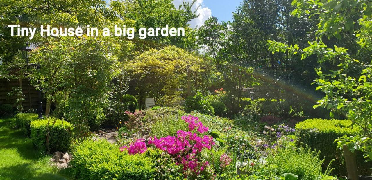 Guesthouse Vakantiehuis In Een Mooie Tuin In Het Centrum Van Zuidlaren! 外观 照片