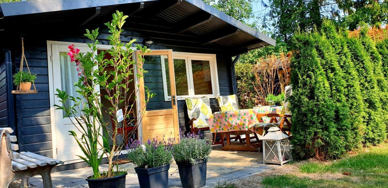 Guesthouse Vakantiehuis In Een Mooie Tuin In Het Centrum Van Zuidlaren! 外观 照片