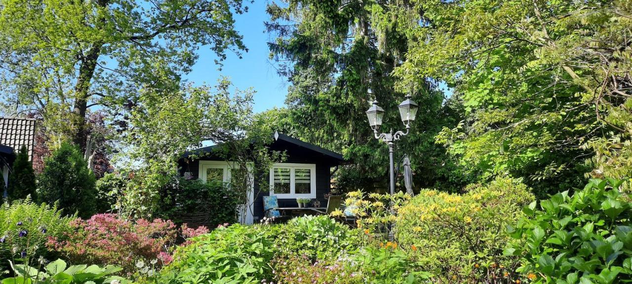 Guesthouse Vakantiehuis In Een Mooie Tuin In Het Centrum Van Zuidlaren! 外观 照片