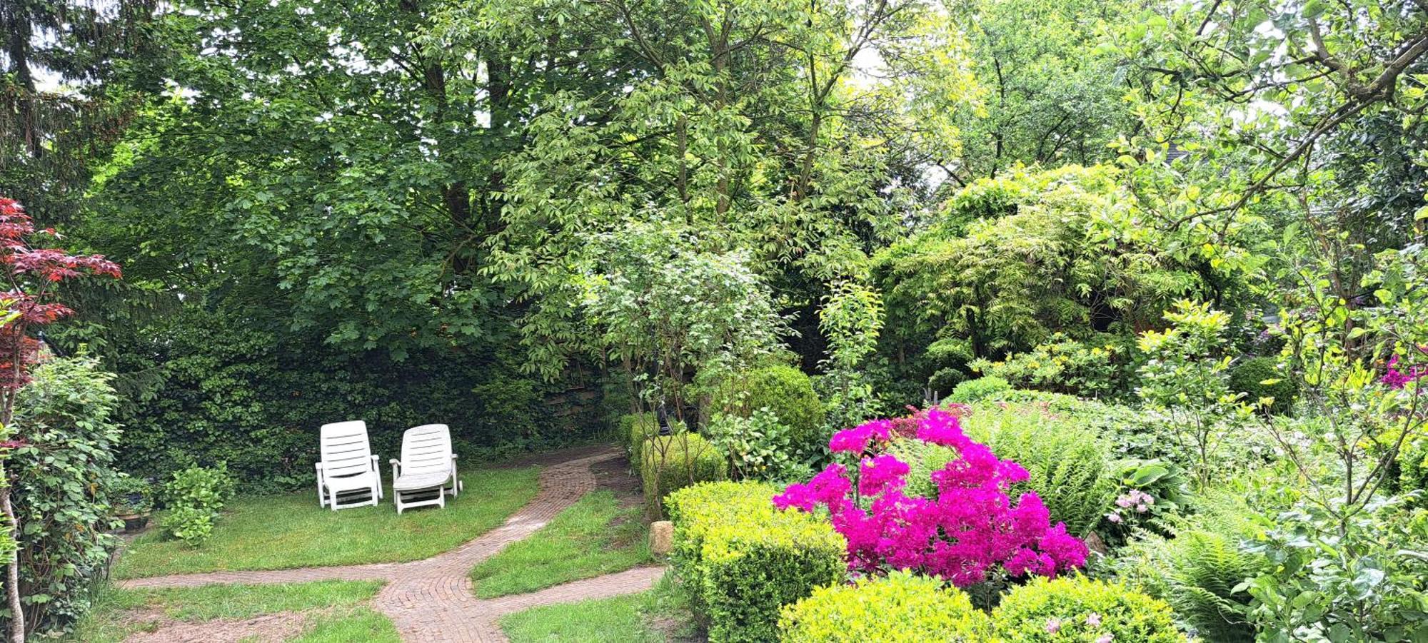 Guesthouse Vakantiehuis In Een Mooie Tuin In Het Centrum Van Zuidlaren! 外观 照片
