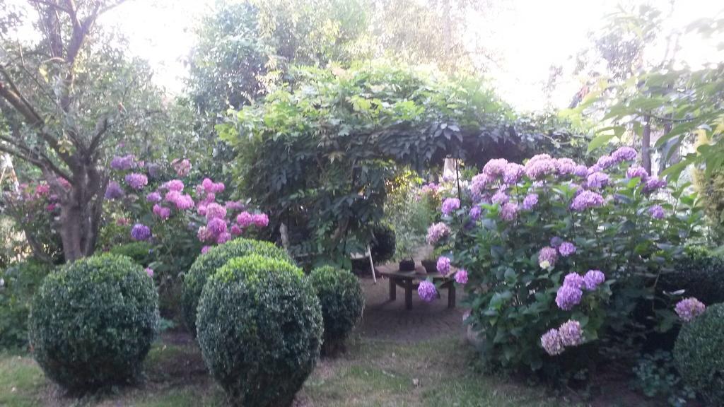 Guesthouse Vakantiehuis In Een Mooie Tuin In Het Centrum Van Zuidlaren! 外观 照片