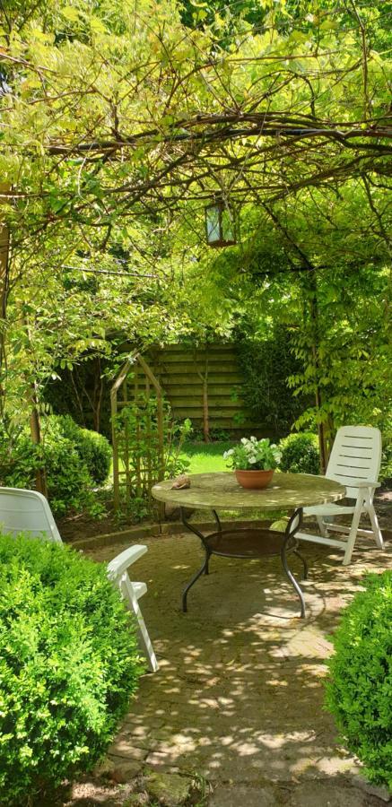 Guesthouse Vakantiehuis In Een Mooie Tuin In Het Centrum Van Zuidlaren! 外观 照片